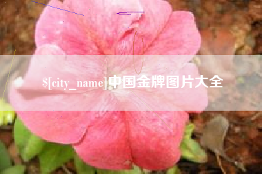灌南中国金牌图片大全