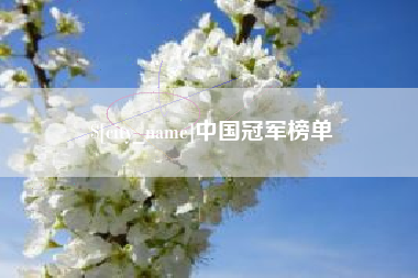 灌南中国冠军榜单