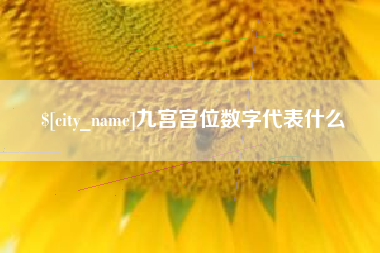 灌南九宫宫位数字代表什么