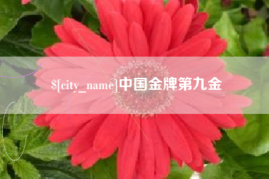 灌南中国金牌第九金