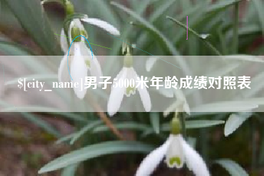 灌南男子5000米年龄成绩对照表