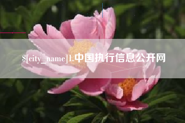 灌南1.中国执行信息公开网
