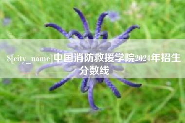 灌南中国消防救援学院2024年招生分数线