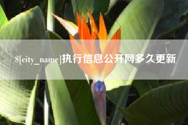 灌南执行信息公开网多久更新