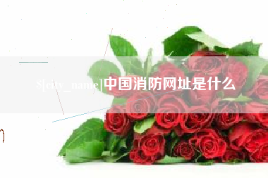 灌南中国消防网址是什么