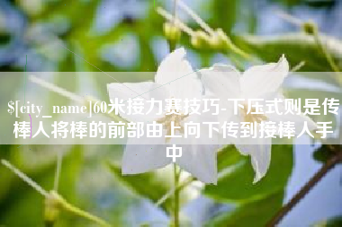 灌南60米接力赛技巧-下压式则是传棒人将棒的前部由上向下传到接棒人手中