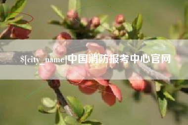 灌南中国消防报考中心官网