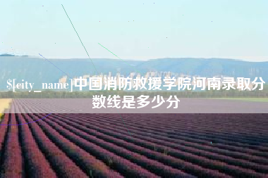 灌南中国消防救援学院河南录取分数线是多少分