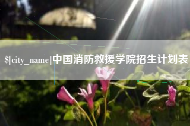 灌南中国消防救援学院招生计划表