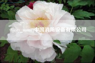 灌南中国消防设备有限公司