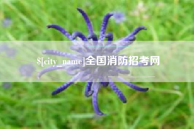 灌南全国消防招考网