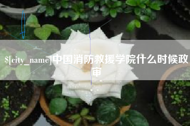 灌南中国消防救援学院什么时候政审