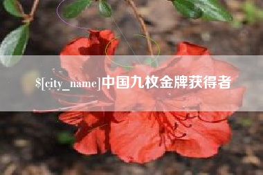 灌南中国九枚金牌获得者