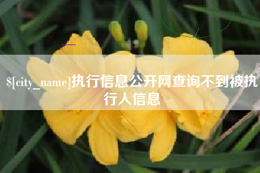 灌南执行信息公开网查询不到被执行人信息