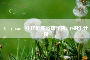 灌南中国消防救援学院2019招生计划