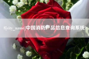 灌南中国消防产品信息查询系统1