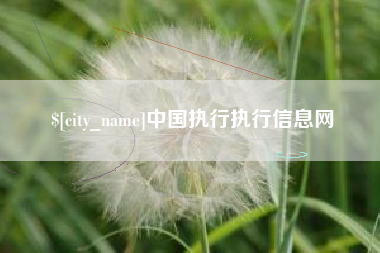 灌南中国执行执行信息网