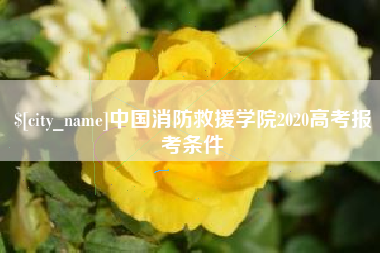 灌南中国消防救援学院2020高考报考条件