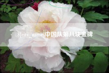 灌南中国队第八块金牌