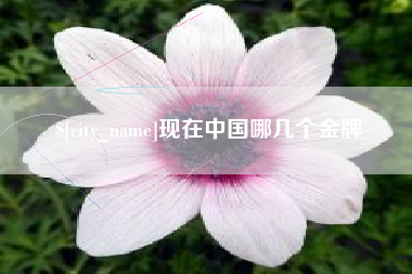 灌南现在中国哪几个金牌