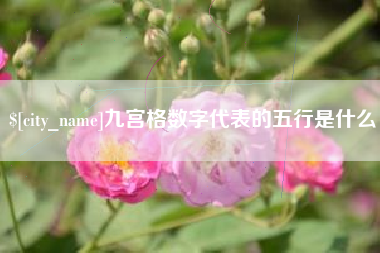 灌南九宫格数字代表的五行是什么