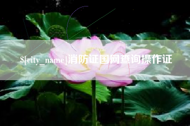灌南消防证国网查询操作证