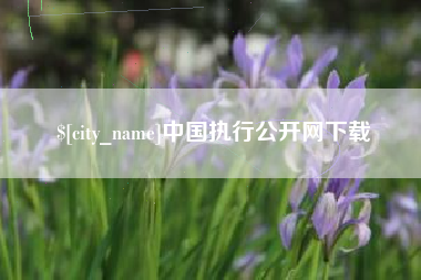 灌南中国执行公开网下载