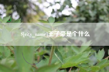灌南王子豪是个什么