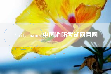 灌南中国消防考试网官网