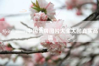 灌南中国金牌图片大全大图真实高清