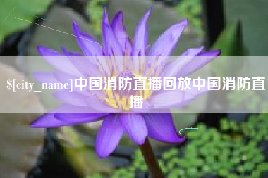 灌南中国消防直播回放中国消防直播