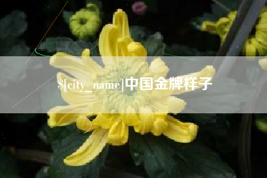 灌南中国金牌样子