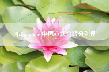灌南中国六块金牌分别是