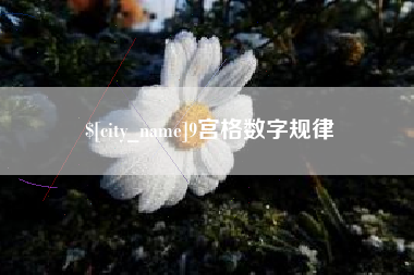 灌南9宫格数字规律