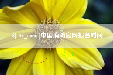 灌南中国消防官网报名时间