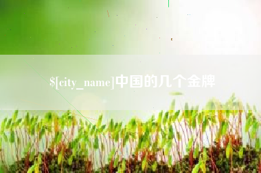 灌南中国的几个金牌