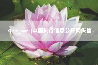 灌南中国执行信息公开网失信
