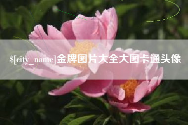 灌南金牌图片大全大图卡通头像