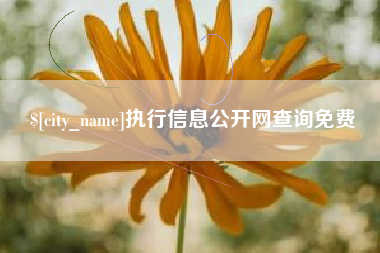 灌南执行信息公开网查询免费