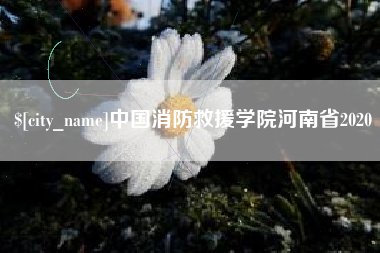 灌南中国消防救援学院河南省2020