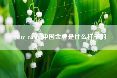 灌南中国金牌是什么样子的